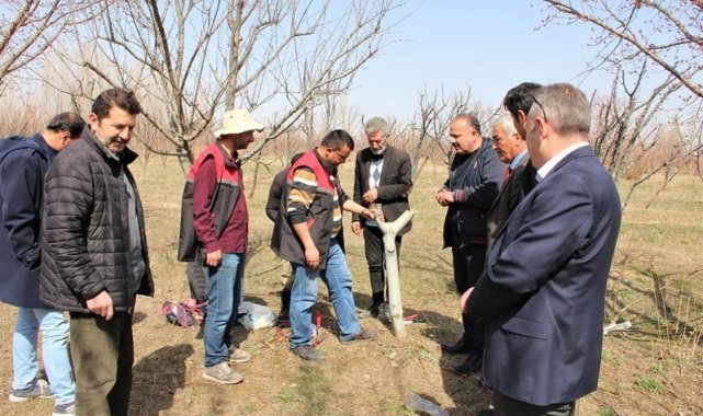 Iğdır'da meyve ağaçlarında aşı ve budama eğitimi