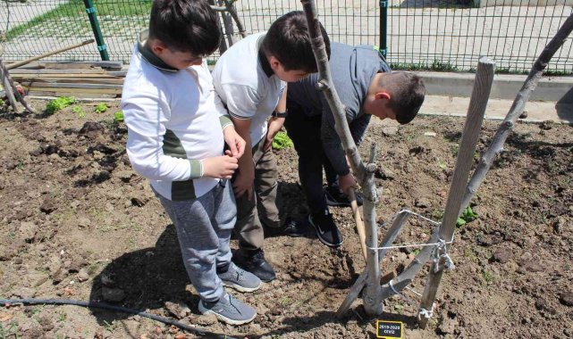 İlkokul öğrencisinden gülümseten yorum: &quot;Yetiştirdiğim domateslerden menemen yapacağım&quot;