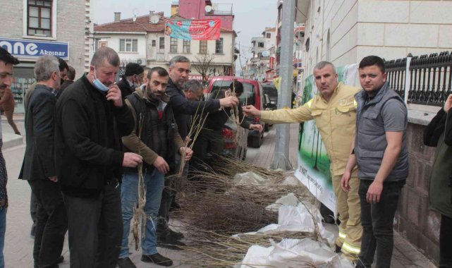 İnebolu'da vatandaşlara ücretsiz meyve fidanı dağıtıldı