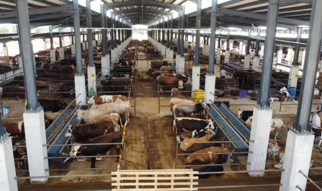 İnegöl hayvan pazarında hazırlıklar başladı