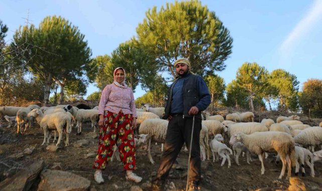 İzmir'in çoban haritası çıkarıldı