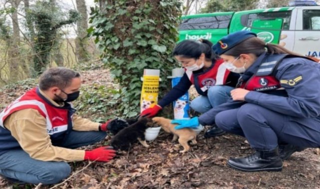 Jandarma sessiz dostları unutmadı