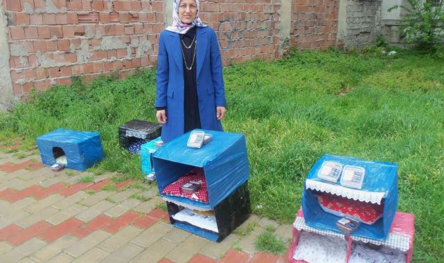 Kadın girişimci soğuk günlerde sokak hayvanlarını unutmadı