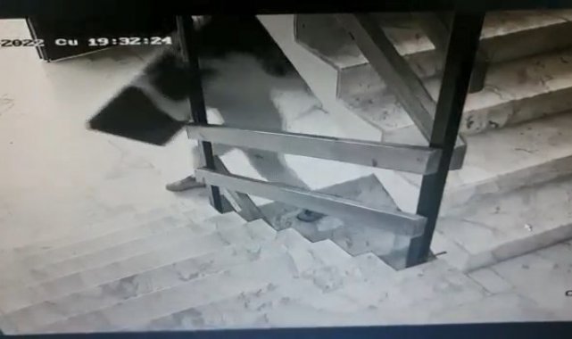 Kameralara aldırmadan televizyonu böyle çaldı