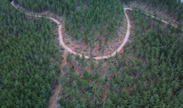 Karaisalı'da yangın emniyet yolları ve şeritleri yapıldı