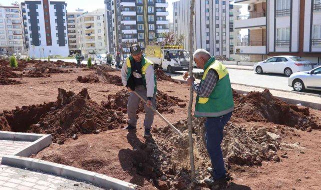Karaköprü'de yeni parklar ağaçlarla yeşilleniyor