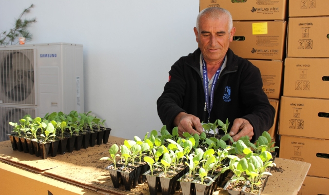 Karaova’da Üreticiye 142 Bin Hibe Fide Dağıtıldı