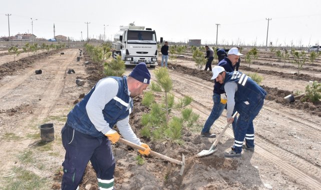 Karatay&#039;da ağaçlandırma çalışmaları sürüyor