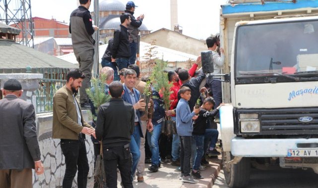 Karlıova&#039;da 10 bin adet fidan dağıtıldı