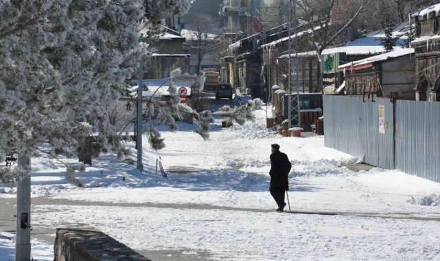 Kars eksi 13 ile dondu, ağaçlar kırağı tuttu
