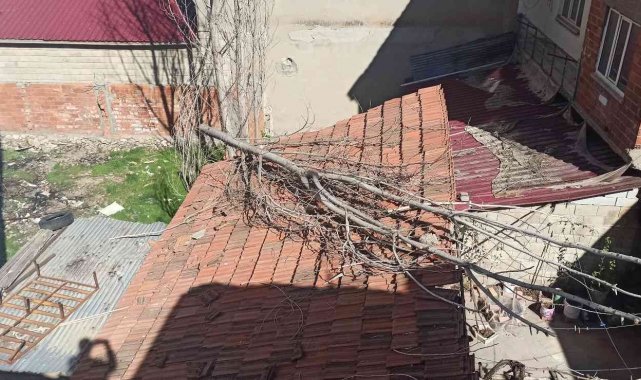 Kavak ağacı çatıya düştü
