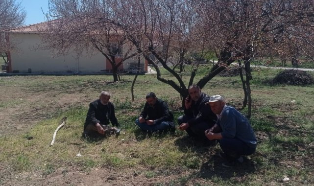Kayısı bahçelerini don vurdu