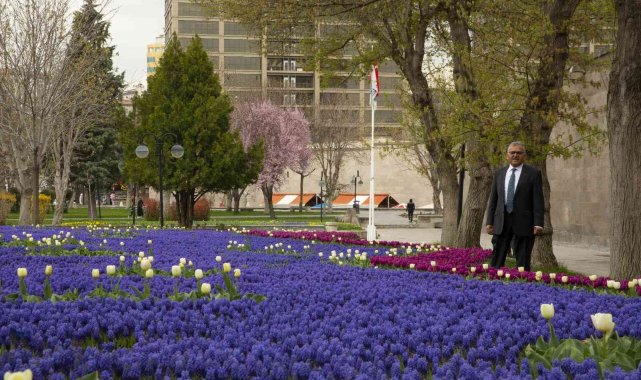 Kayseri'de 1 milyon çiçek açtı