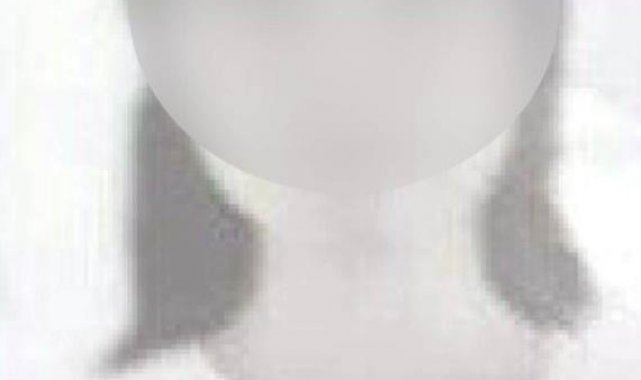 Kayseri'de babasını bıçaklayarak öldüren kıza 10 yıl hapis cezası