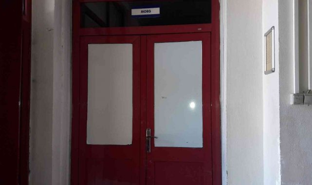 Kestiği ağacın altında hayatını kaybetti