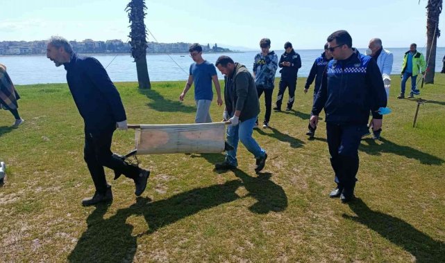 Kocaeli'de ölü yunus sahile vurdu