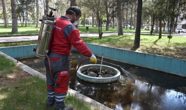 Kocasinan Belediyesi, haşereyle mücadeleye başladı