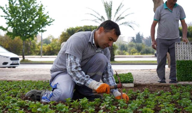 Konyaaltı çiçeklerle süsleniyor