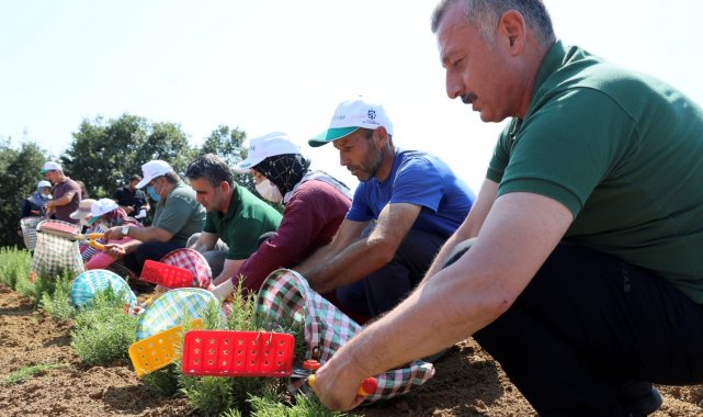 Kooperatif ve birliklere yüzde 75 hibe desteği