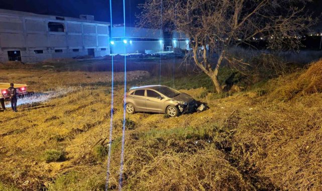 Köpeğe çarpan otomobil şarampole uçtu