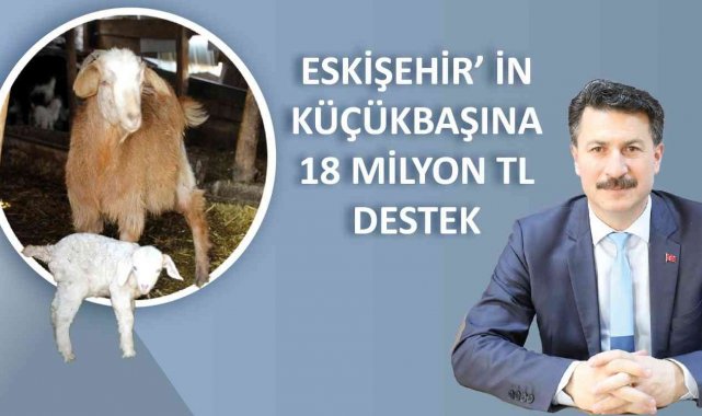 Küçükbaş hayvancılığa 18 milyon lira destek