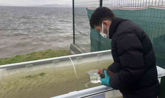 Küçükçekmece Lagünü Islah Projesi başlatıldı