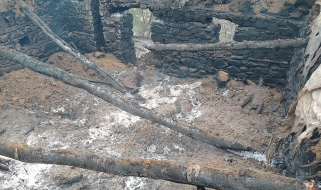 Kulp'ta ahır yangını: 76 hayvan telef oldu