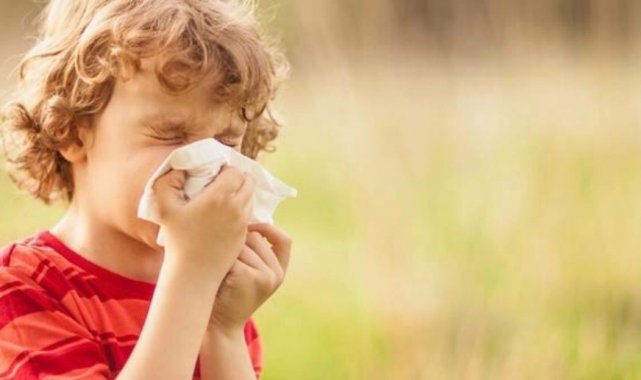Küresel ısınma alerjik nezlelerin artış nedenlerinden