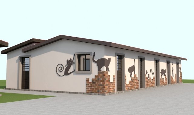 Kuşadası Belediyesi kedi tedavi ünitesi yapımında son aşamaya geldi