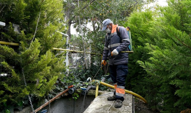 Kuşadası'nda vektörle mücadele devam ediyor