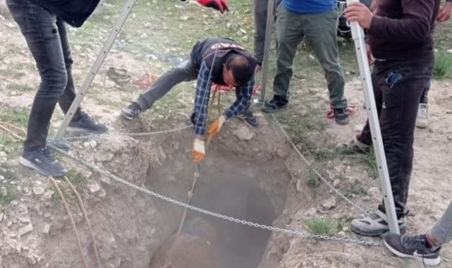 Kuyuya düşen inek, AFAD ekibi tarafından kurtarıldı