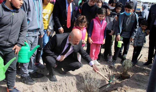 Lavanta Bahçesi'ne 20 bin fidan