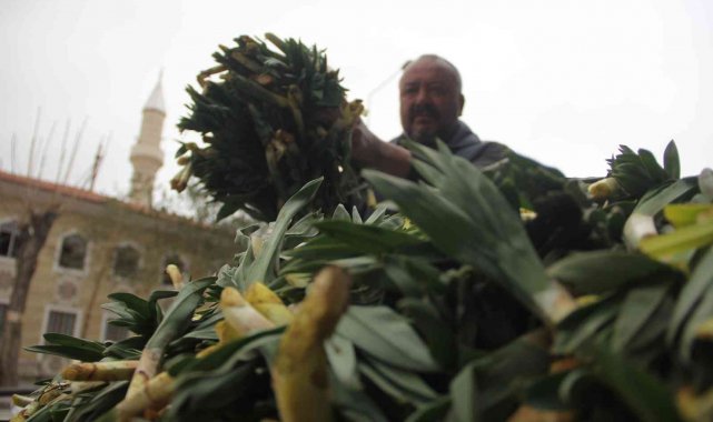 Lezzet ve şifa deposu yabani pırasa tezgâhlarda yerini aldı
