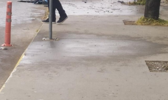 Lüks otomobil önce kaldırıma çıktı, sonra ağaca çarptı