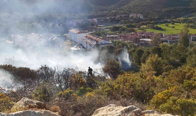 Makilik yangını ormana sıçramadan söndürüldü