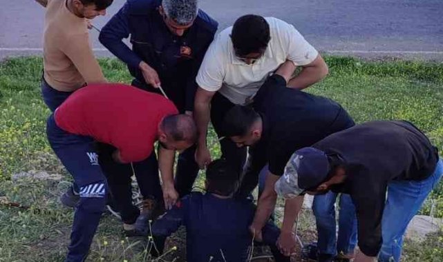 Mardin'de kuyuya düşen inek itfaiye ekipleri tarafından kurtarıldı