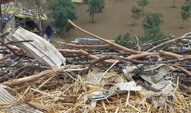 Maske atıkları, leylekleri tehdit ediyor