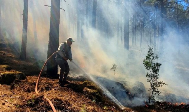 Menteşe kırsal Dokuzçam Mahallesi'nde orman yangını