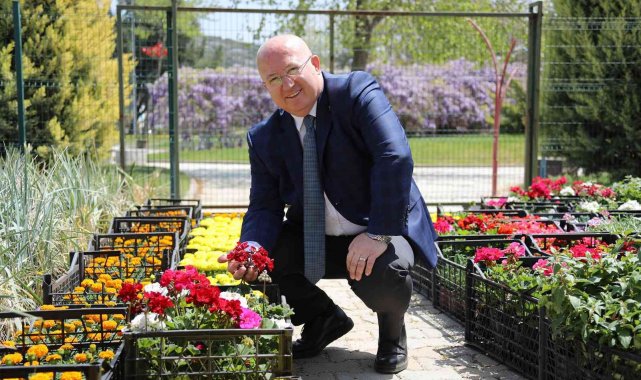 Menteşe'de bahar renkleri çiçek açtı