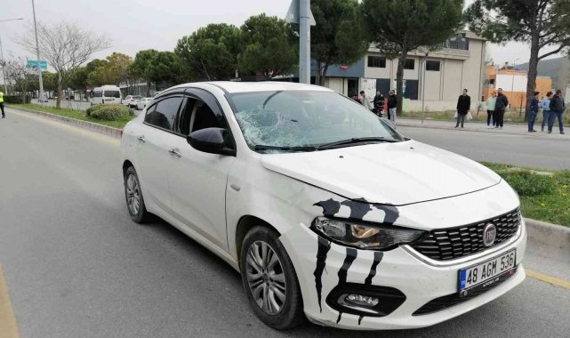 Menteşe'de kaz: 1ölü