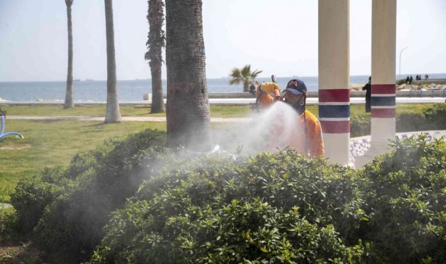 Mersin&#039;de ilaçlama çalışmaları hız kazandı