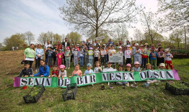 Meşe palamutlarını fidana dönüştürüp toprağa diktiler