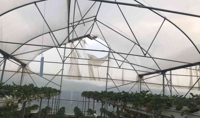 Meteoroloji'nin uyarısından sonra, rüzgarın hızı 90 kilometreyi buldu