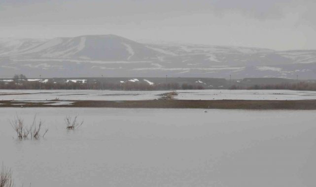 Meteorolojinden Kars için 'sarı' uyarı