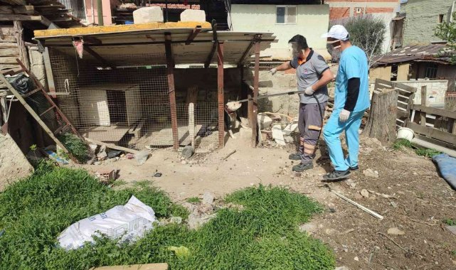 Metruk binada pitbull besleyen kişiye 14 bin 982 TL idari para cezası