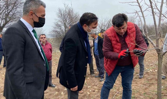 Meyve ağaçlarında budama eğitimi düzenlendi