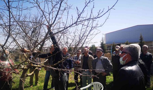 Meyve bahçe tesisi ve budama eğitimi