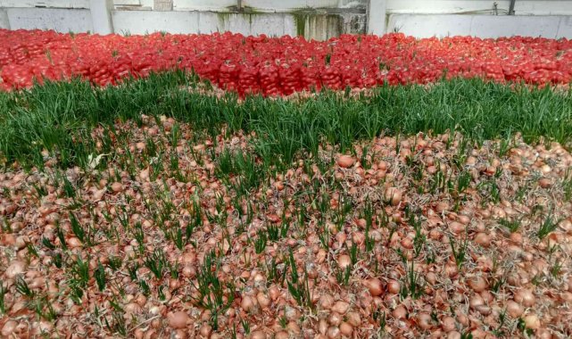 Meyve sebze halindeki komisyoncular yüzünden ürünleri depolarda çürüyen çiftçilerin tek umudu Hal yasası