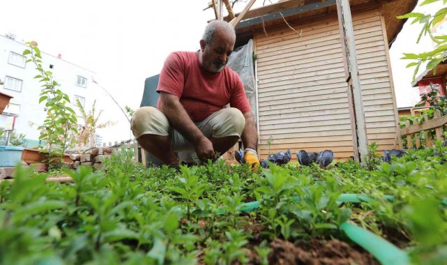 Mezitli Belediyesi hobi bahçesinde bahar hareketliliği