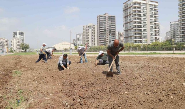 Mezitli'de ihtiyaç sahipleri için sebze bahçesi